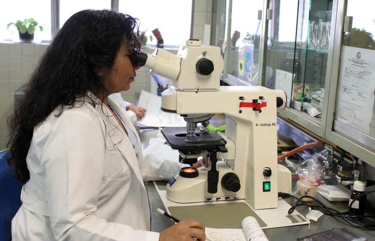 Seis grandes avances científicos de la década de 2010