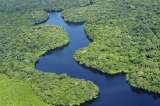 Alertan al Gobierno Nacional por la crisis sanitaria en Amazonas con la llegada del coronavirus