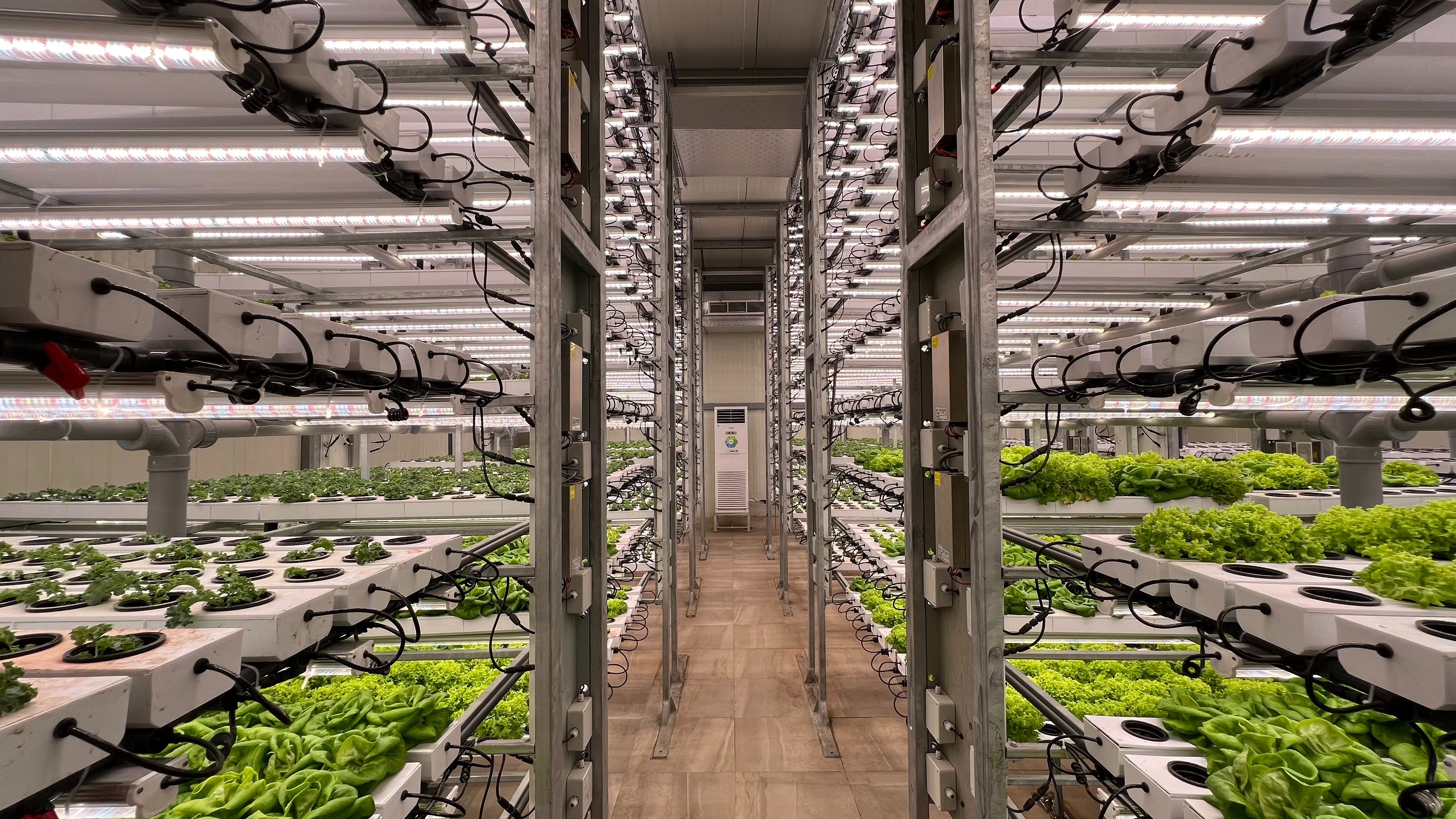 La idea es que participen compañías "que se dediquen a transformar, comercializar o producir productos a partir de alimentos, utilizando innovación y nuevas tecnologías para modificarlos, agregarles valor o transformarlos".