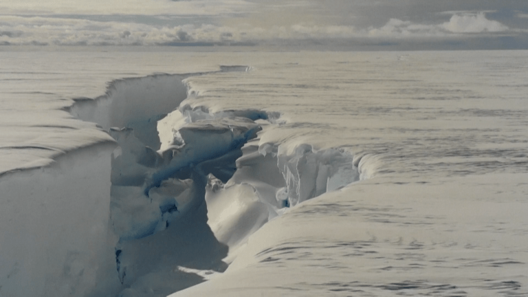 Advierten que una ola de calor marina amenazaría las capas de hielo de la Antártida