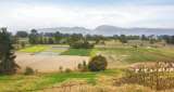 Thomas van der Hammen, ¿de reserva ambiental a urbanización?