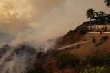 Incendios en Los Ángeles disparan contratación de bomberos privados: ¿por qué es polémico?