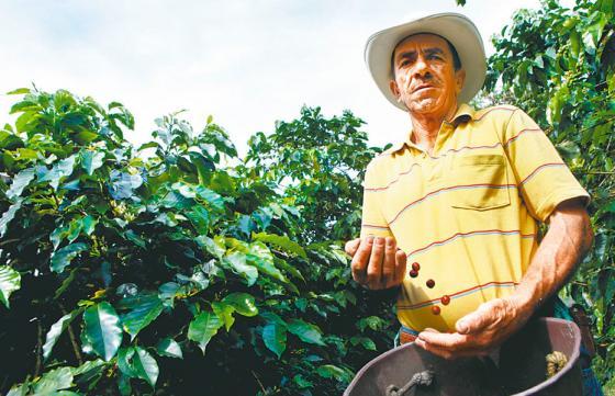 Viaje a la cuna del mejor café del mundo