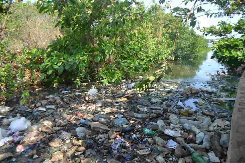 Esta es la basura que arrastra el arroyo León, uno de los focos de polución. La ciénaga tiene un alto grado de sulfuro de hierro.  / Fotos: Francisco Mejía