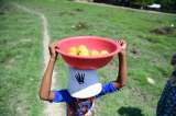 Los niños del campo colombiano crecen menos que los de las ciudades