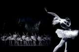 Lezama Lima sobre Alicia Alonso (Extractos literarios)