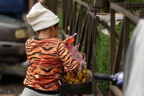 Las barreras y las complejidades de Bogotá en su lucha contra el trabajo infantil