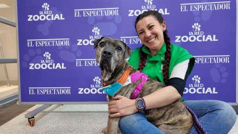 Conozca a Astra: sobrevivió a un ataque brutal y aún espera familia en el IDPYBA