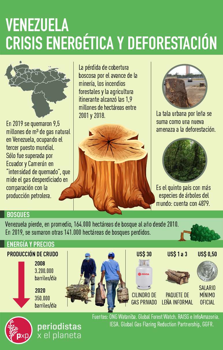 Crisis energética y deforestación.