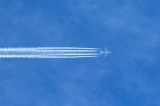 Volar con emisiones neutrales de carbono
