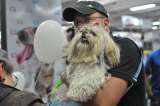¿Piensa asistir a Expopet con su mascota? Tenga en cuenta estas recomendaciones