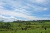 Deforestación en Colombia, un rompecabezas complejo