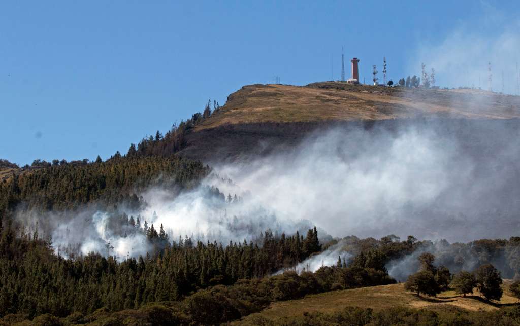 AME1862. SANTURBÁN (COLOMBIA), 24/01/2024.- Vista hoy de un incendio forestal cerca al páramo de Berlín en el nudo de Santurbán, en Santander (Colombia). Decenas de hectáreas de vegetación de alta montaña han sido consumidas por un incendio en el páramo de Berlín, crucial para el abastecimiento de agua potable del noreste de Colombia, informaron este miércoles las autoridades. El páramo de Berlín hace parte del sistema de páramos de Santurbán, una de las principales reservas de agua potable del país y está incluido entre los Parques Nacionales. EFE/ Mario Caicedo