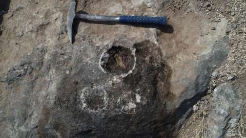 Hallaron más de 250 huevos de dinosaurio fosilizados en India