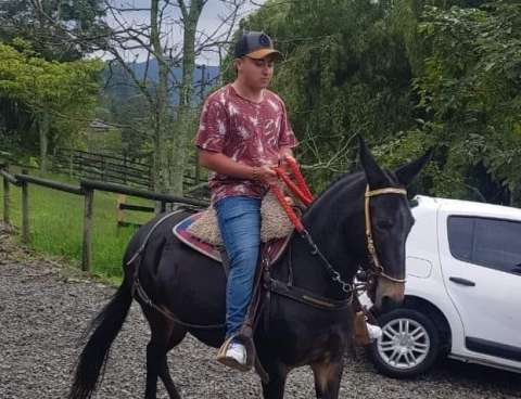 Lo que se sabe del joven secuestrado en Ituango al que le quemaron su moto