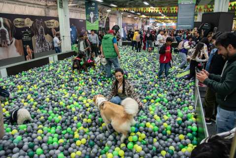 Expopet 2023 contó con la participación de más de 58.000 personas