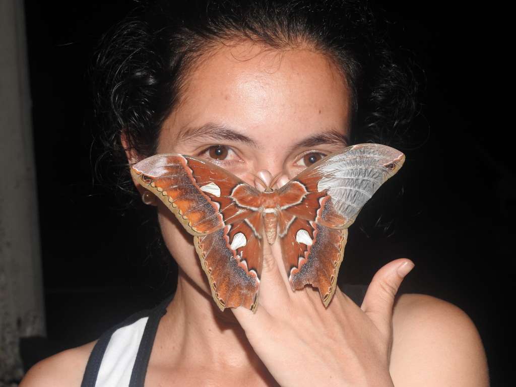 Los investigadores hicieron expediciones en diferentes lugares de Colombia para identificar a las diferentes especies
