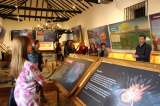 Exposición del Museo Paleontológico de Villa de Leyva llega a Cundinamarca
