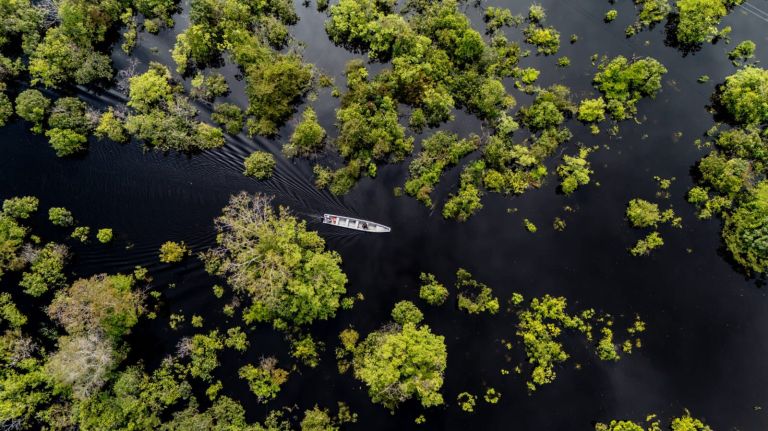 Las mujeres del Pacífico que transforman la pesca artesanal en emprendimientos