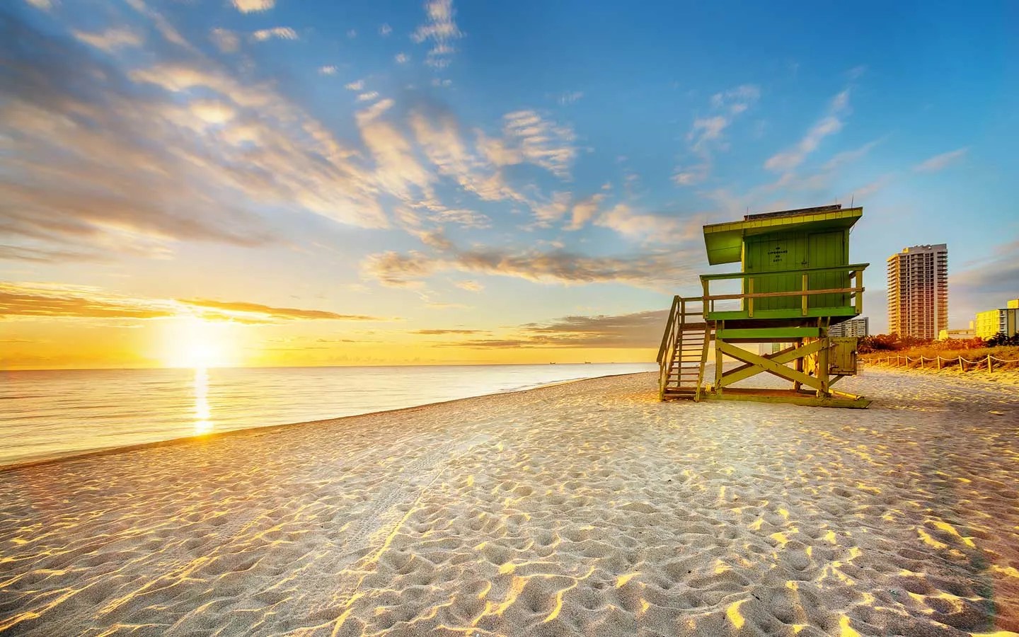 Al sureste de Florida se ubica Miami, la ciudad donde ocurre la magia.