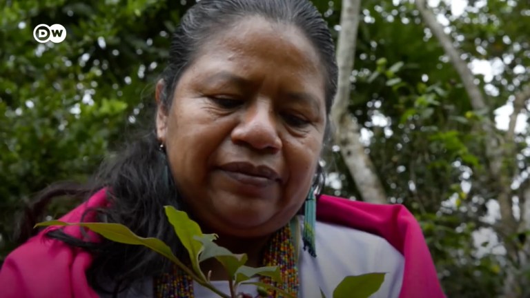 Las mujeres indígenas que preservan los saberes tradicionales en la Amazonía colombiana