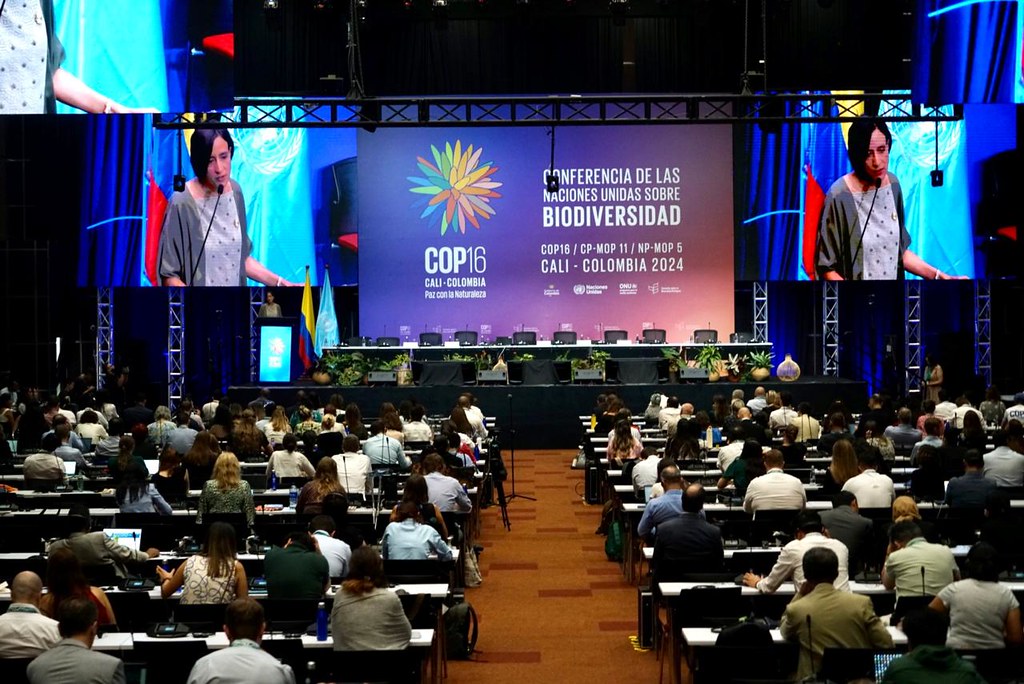 Imagen de las discusiones en la COP16, en Cali.
