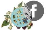 Free Basics y las batallas políticas de internet