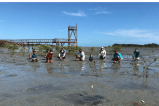 En Brasil plantarán árboles para homenajear a las 200 mil víctimas del COVID-19
