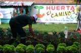 La huerta que cambió la vida de exhabitantes de calle en Bogotá