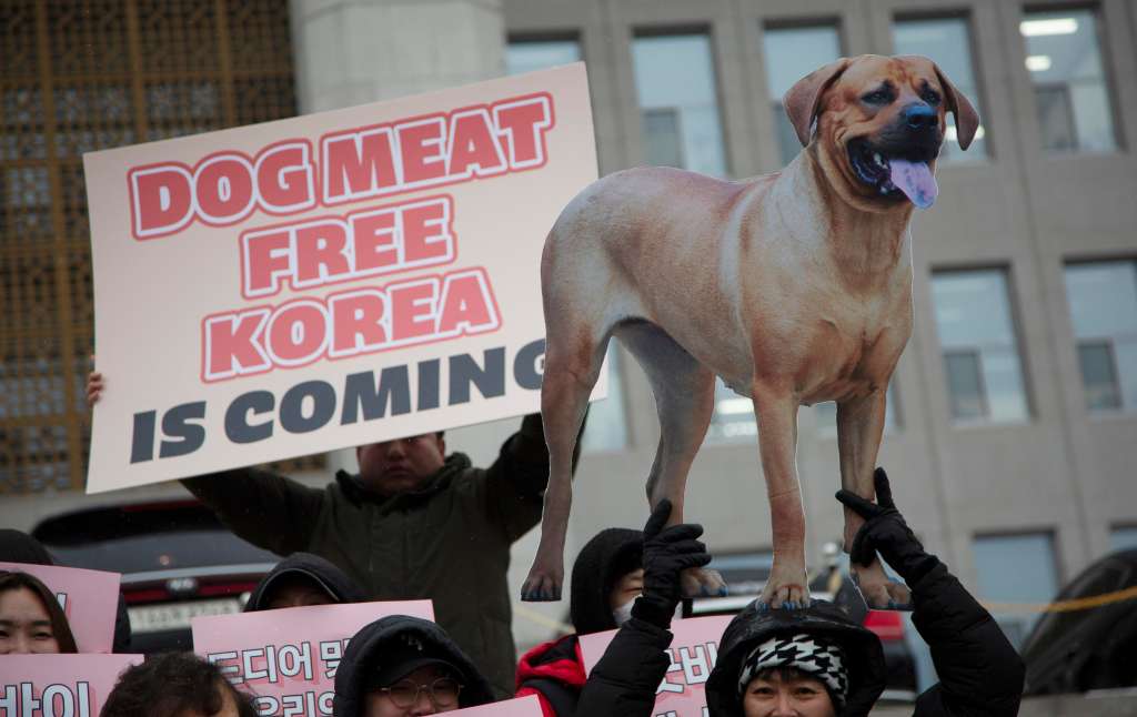 Seoul (Korea, Republic Of), 09/01/2024.- Members of Animal activist groups hold up banners during a ceremomy observing the passage of a law banning the dog meat trade, at the National Assembly in Soeul, South Korea, 09 January 2024. South Korea's National Assembly passed a special bill banning dog meat consumption on 09 January. (Corea del Sur) EFE/EPA/JEON HEON-KYUN