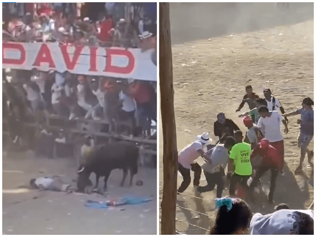 Corralejas en Zambrano