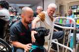 Perros rescatados transformaron la rutina de un hogar geriátrico en Medellín
