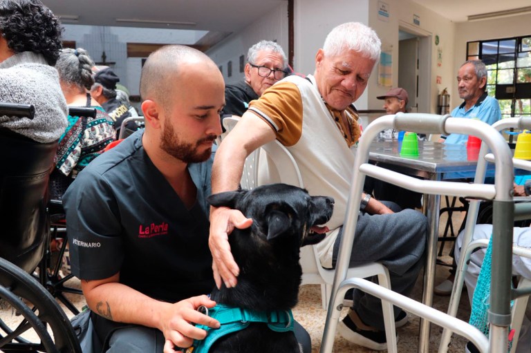 Perros rescatados transformaron la rutina de un hogar geriátrico en Medellín