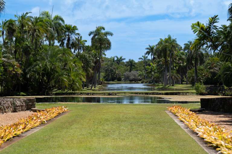 Turismo en Miami, naturaleza, Fairchild Tropical Botanic Garden