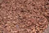 De la bonanza al ajuste: así va la caída del cacao y café tras lograr precios históricos