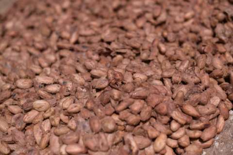 De la bonanza al ajuste: así va la caída del cacao y café tras lograr precios históricos
