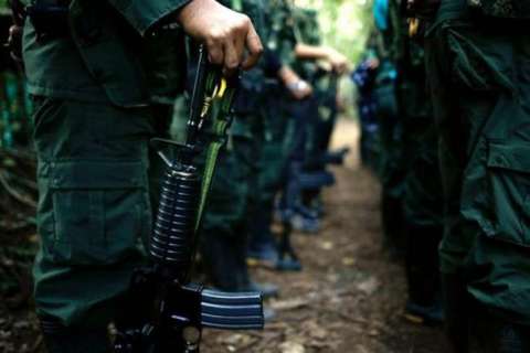 Los pescaditos color oro de un excombatiente de las Farc