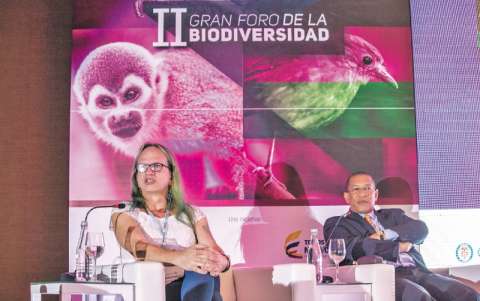 Los desafíos del país de la riqueza