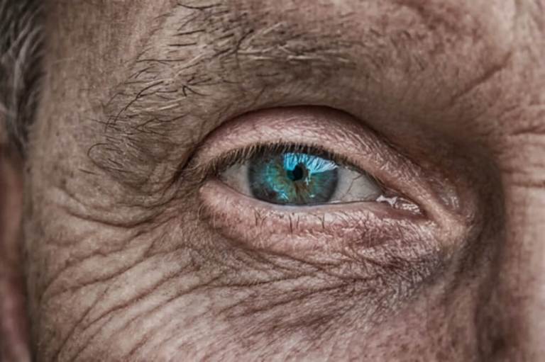 El cerebro humano genera nuevas neuronas hasta los 90 años