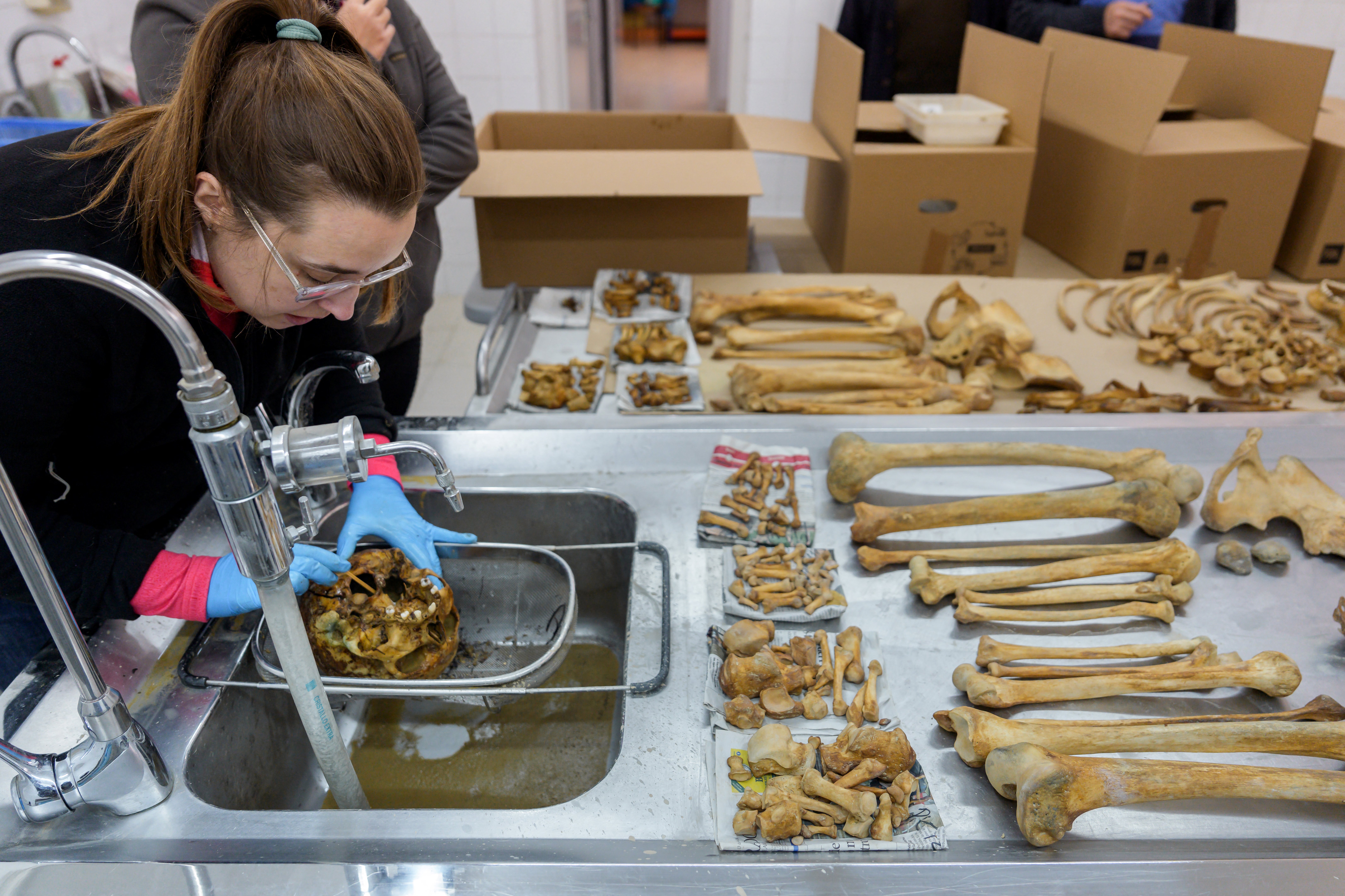 Employees and volunteers carry out anthropological work for the first phase of exhumation of victims of repression during the Spanish Civil War and the Franco regime in the mass grave of the cemetery of Ejea de los Caballeros, in Ejea de los Caballeros, in Zaragoza Province, on October 28, 2025.