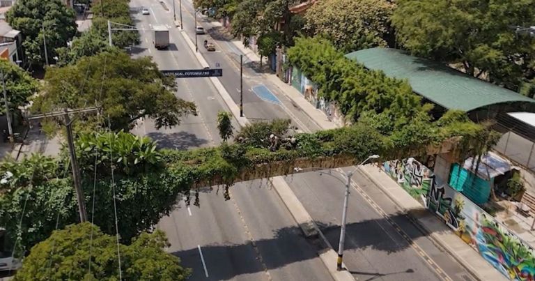El papel de los corredores verdes ante la ola de calor en Medellín