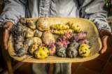 Del campo a la olla: así se amasa una posible revolución gastronómica en Colombia