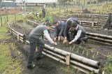 En Ciudad Bolívar (Bogotá) le apuestan a la ecoeducación