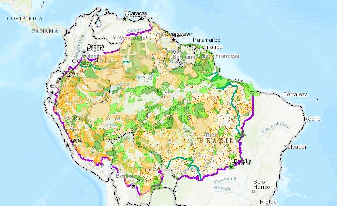 Sólo durante 2018 se deforestaron 31.269 kilómetros cuadrados de bosques en toda la Amazonía.