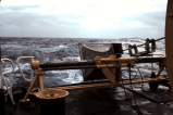 Habrían descubierto el origen de un extraño sonido en el mar de Nueva Zelanda