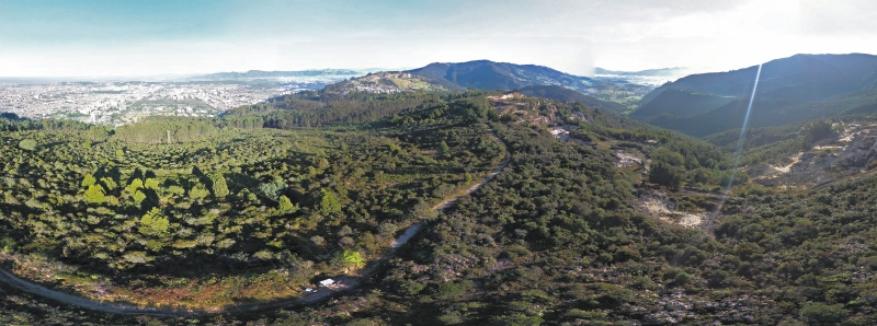 Vista panorámica de los cerros orientales, entre Bogotá y La Calera. / GEPPE