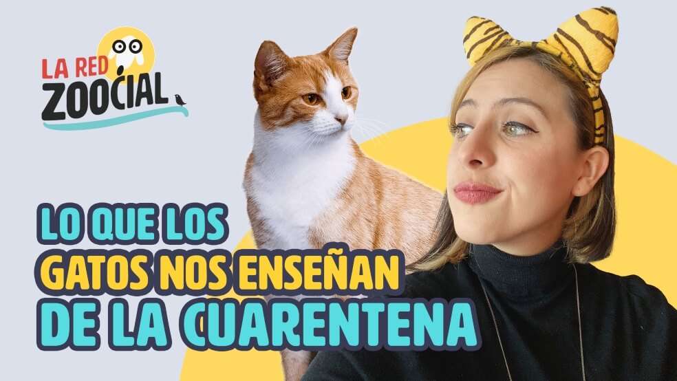 La Red Zoocial