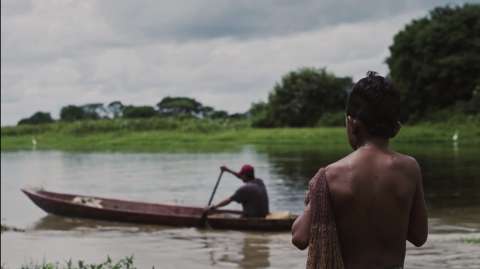 Réquiem por la Colombia Anfibia