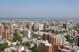Comercializadora de harina es investigada por presencia de heces fecales en sus productos