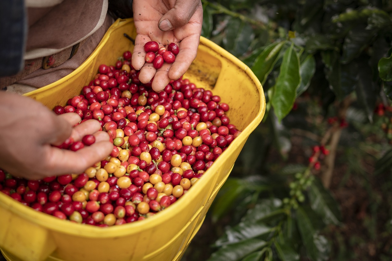 Café colombiano